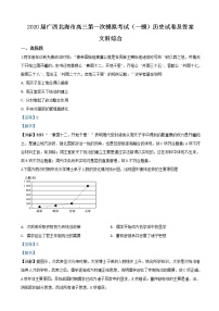 2020届广西北海市高三第一次模拟考试（一模）历史试卷及答案