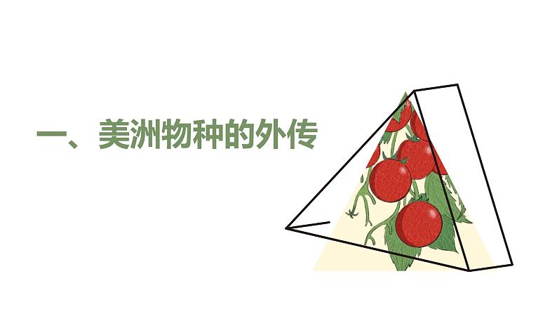 第2课 新航路开辟后的食物物种交流 课件+教案+练习+学案03