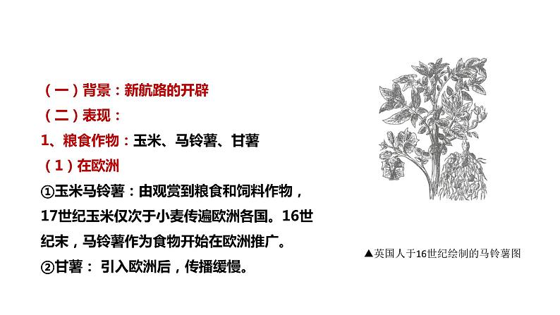 第2课 新航路开辟后的食物物种交流 课件+教案+练习+学案05