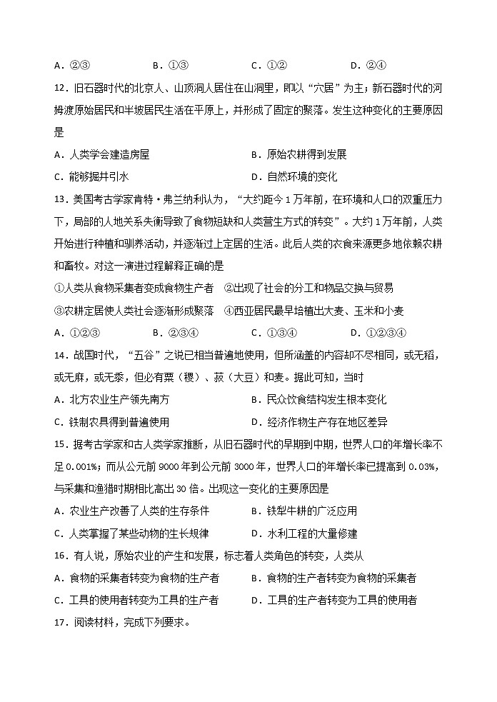 第1课 从食物采集到食物生产 课时练习第3页