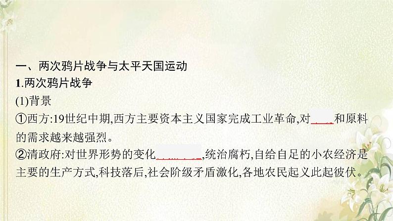 高考历史二轮复习第五讲晚清时期民族危机的不断加深与救亡图存运动课件07