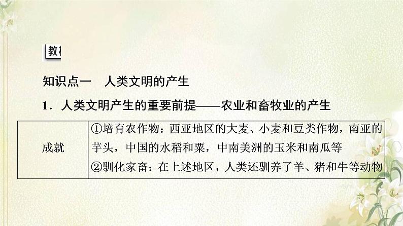 部编版高中历史中外历史纲要下第1单元古代文明的产生与发展第1课文明的产生与早期发展课件05