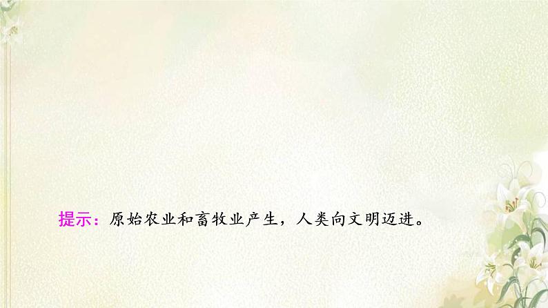 部编版高中历史中外历史纲要下第1单元古代文明的产生与发展第1课文明的产生与早期发展课件08