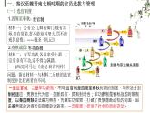 选择性必修一《国家制度与社会治理 》新视角课件 第5课 中国古代官员的选拔与管理