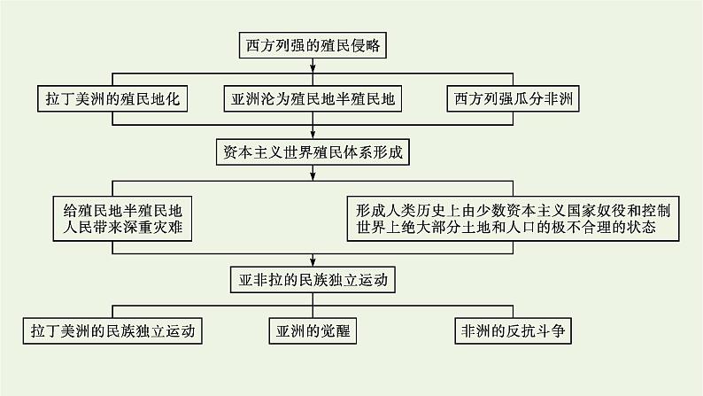 部编版高中历史必修下册第六单元世界殖民体系与亚非拉民族独立运动单元整合课件第4页