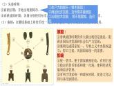 选择性必修1第15课 货币的使用与世界货币体系的形成 课件（23张PPT）