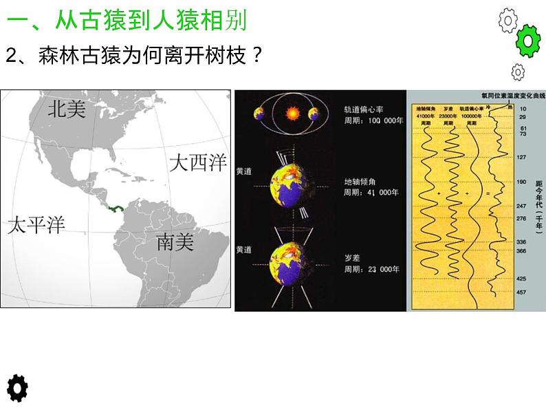 2.2 人类进化的历程 课件 新课标高中历史选修五04