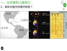 高中历史人教版 (新课标)选修5 探索历史的奥秘2 人类进化的历程教课内容ppt课件_ppt03