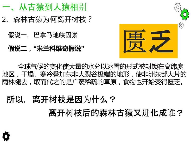 2.2 人类进化的历程 课件 新课标高中历史选修五05