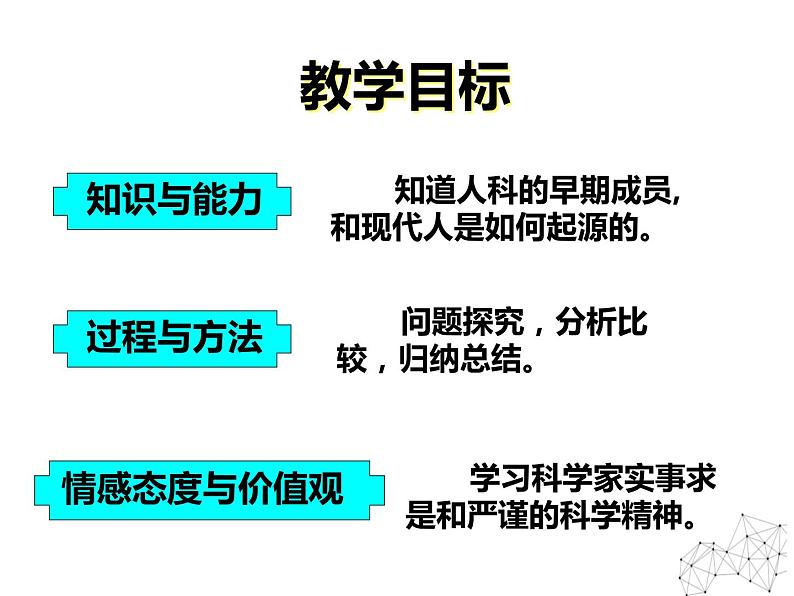 2.3 寻找人类的祖先 课件 新课标高中历史选修五06