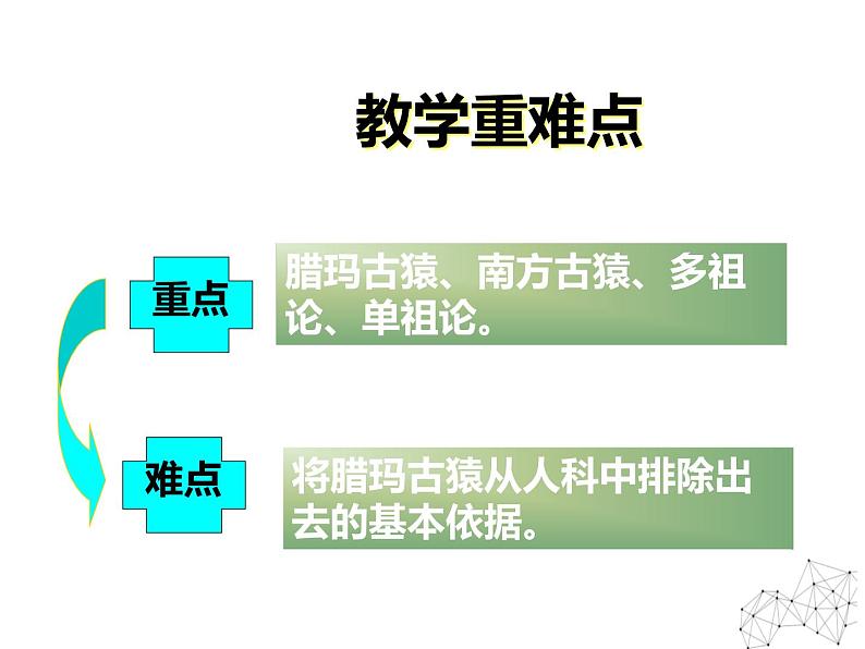 2.3 寻找人类的祖先 课件 新课标高中历史选修五07