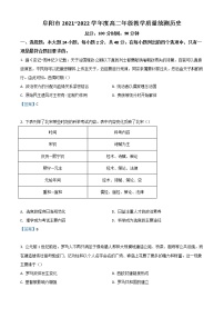 2022阜阳高二下学期期末统测试题历史含答案