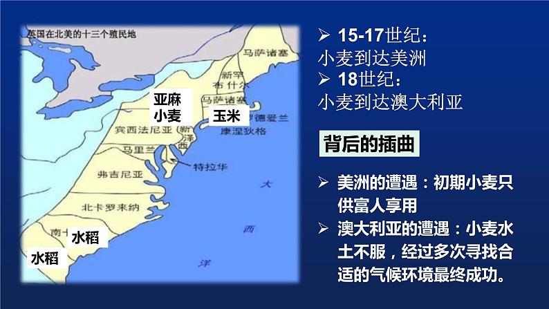 第2课新航路开辟后的食物物种交流课件--2021-2022学年统编版（2019）高中历史选择性必修二(共18张PPT)第7页