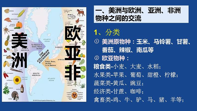 第2课新航路开辟后的食物物种交流课件--2021-2022学年统编版（2019）高中历史选择性必修二(共18张PPT)第8页
