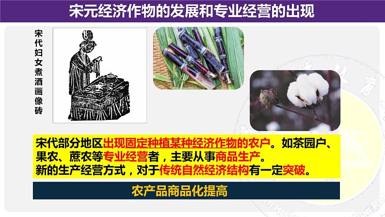 高中历史 辽宋夏金元的经济与社会 课件第6页