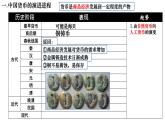2021-2022学年高中历史统编版2019选择性必修1 第15课：货币的使用与世界货币体系的形成 课件