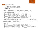 人教版高中历史必修中外历史纲要上第8课三国至隋唐的文化课件