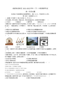 四川省成都市东部新区2021-2022学年高一下学期期中考试历史试题