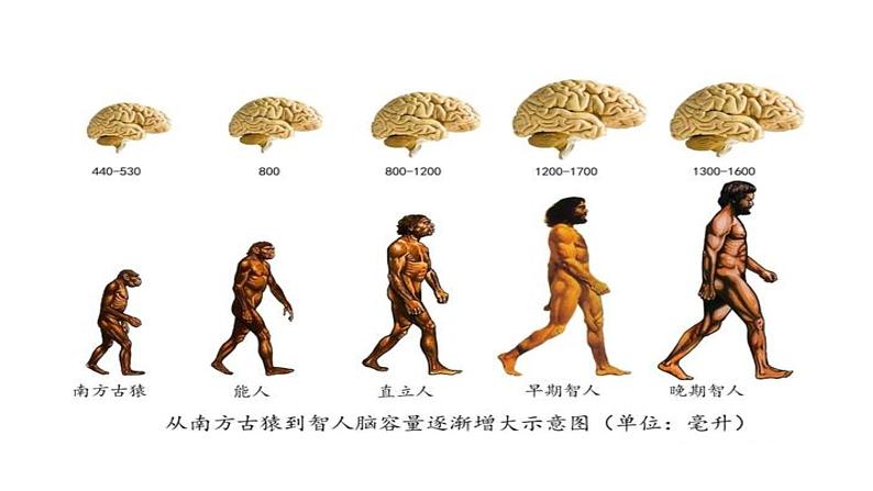 部编版高中历史《中华文明的起源与早期国家》PPT第2页