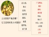 2021-2022学年高中历史统编版（2019）选择性必修二第2课 新航路开辟后的食物物种交流 课件