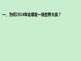 2021-2022学年高中历史统编版（2019）必修中外历史纲要下册第14课 第一次世界大战与战后国际秩序 课件