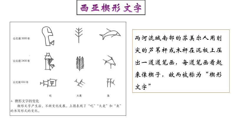 高中历史选修三 第3课  古代西亚、非洲文化 课件第6页