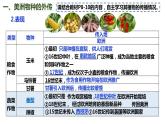 2021-2022学年统编版（2019）高中历史选择性必修2 第2课 新航路开辟后的食物物种交流 课件