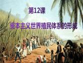 2021-2022学年高中历史统编版（2019）必修中外历史纲要下册第12课  资本主义世界殖民体系的形成 课件
