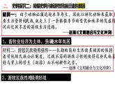 2021-2022学年高中历史统编版（2019）选择性必修三第6课  古代人类的迁徙和区域文化的形成 课件