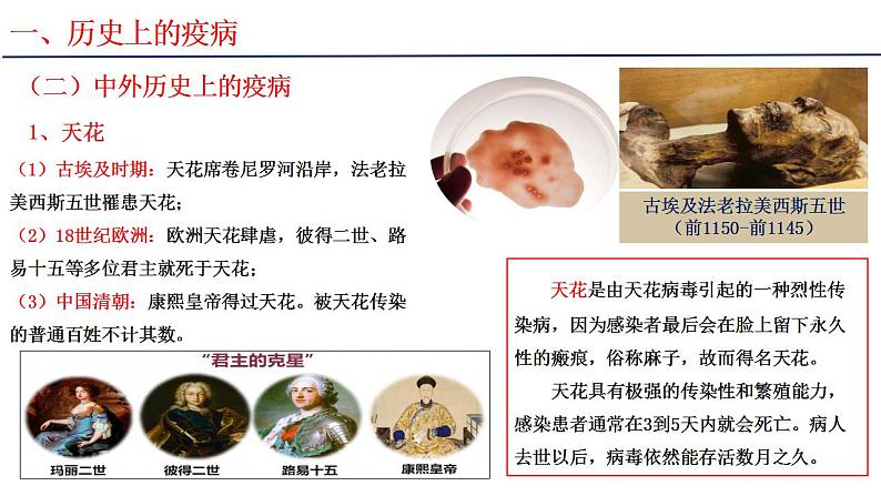 2021-2022学年高中历史统编版（2019）选择性必修二第14课 历史上的疫病与医学成就 课件04