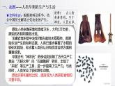 2021-2022学年高中历史统编版（2019）选择性必修二第1课 从食物采集到食物生产 课件