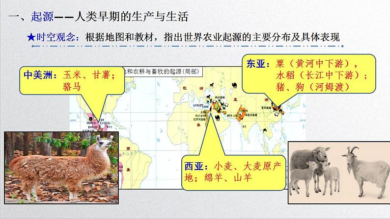 2021-2022学年高中历史统编版（2019）选择性必修二第1课 从食物采集到食物生产 课件第6页