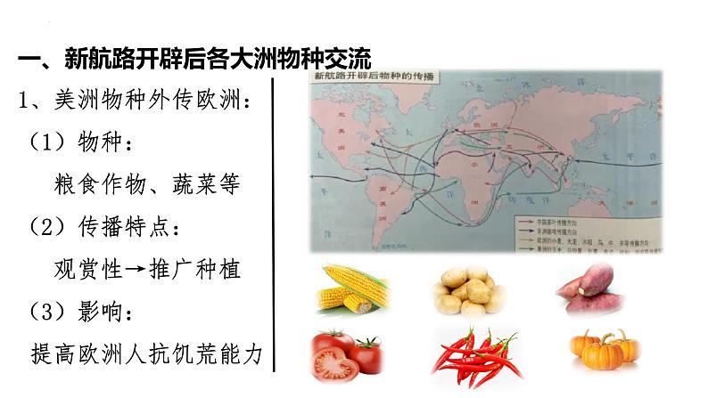 2021-2022学年高中历史统编版（2019）选择性必修二第2课 新航路开辟后的食物物种交流 课件05