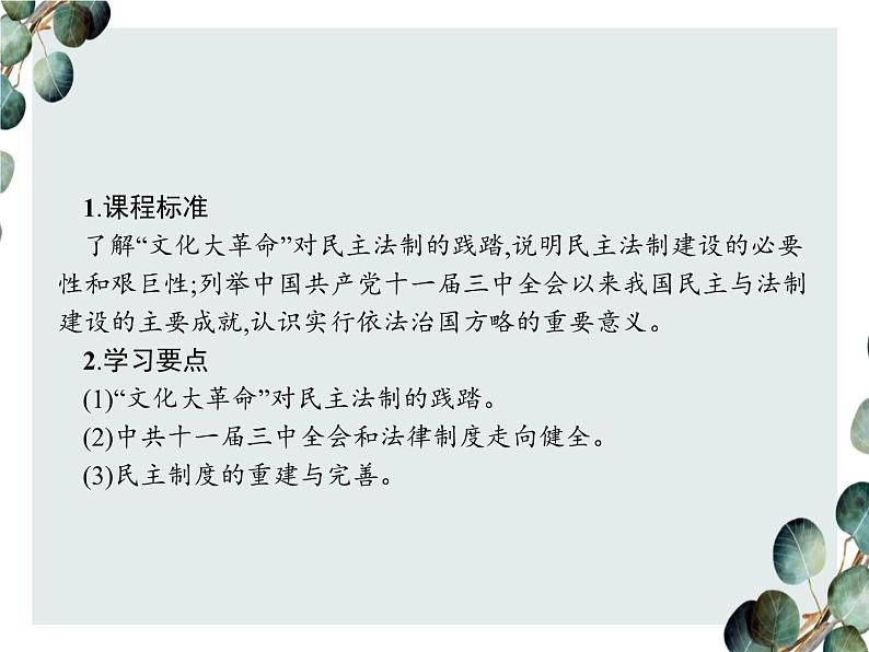 高中历史 必修一 第六单元  第21课 民主政治建设的曲折发展  课件（人教版）02