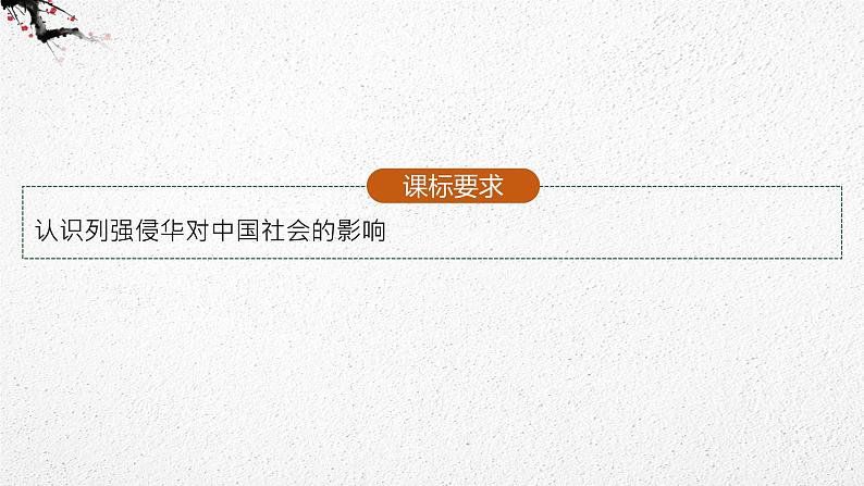 （新高考）2023届高考历史一轮复习 第9讲　两次鸦片战争和列强侵略的加剧 课件02