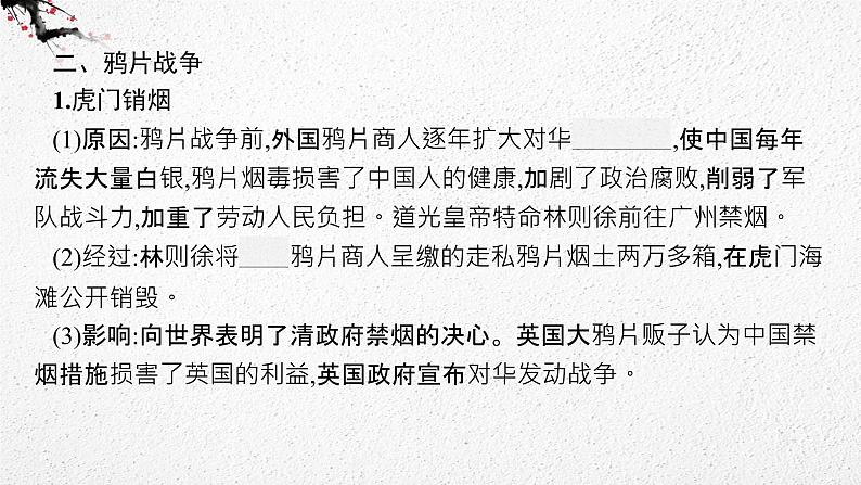 （新高考）2023届高考历史一轮复习 第9讲　两次鸦片战争和列强侵略的加剧 课件08