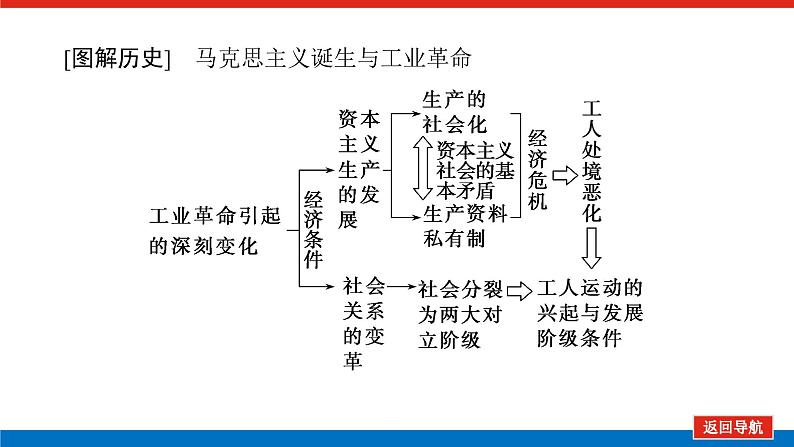 2023年高考一轮复习第15讲解放人类的阳光大道课件第7页