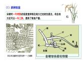 第11课辽宋夏金元的经济与社会课件2022-2023学年统编版高中历史必修中外历史纲要上册 (5)