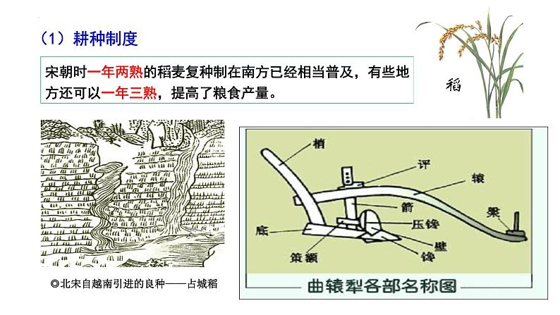 第11课辽宋夏金元的经济与社会课件2022-2023学年统编版高中历史必修中外历史纲要上册 (5)第5页