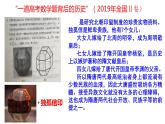 2022-2023学年高中历史统编版（2019）必修中外历史纲要上册第6课 从隋唐盛世到五代十国 课件