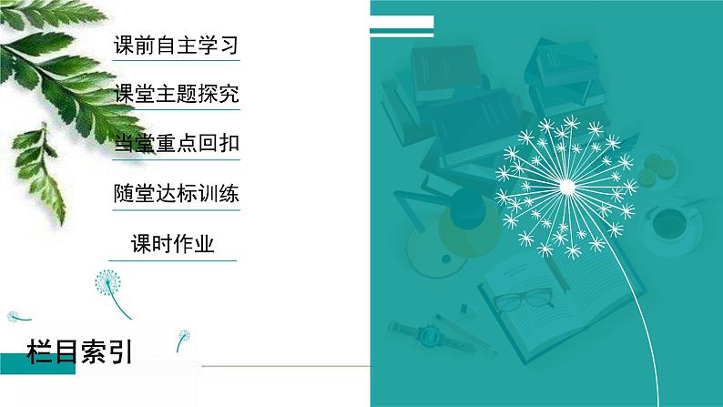 高中历史统编版必修下册课件：第七单元　第16课 亚非拉民族民主运动的高涨03