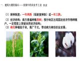 2022-2023学年统编版（2019）高中历史必修中外历史纲要上册第11课 辽宋夏金元的经济与社会 课件