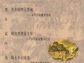 2022-2023学年高中历史统编版（2019）必修中外历史纲要上册第11课 辽宋夏金元的经济与社会 课件