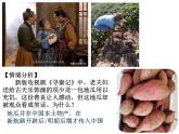 2021-2022学年高中历史统编版（2019）选择性必修二第2课 新航路开辟后的食物物种交流 课件
