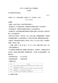 2020武汉高三下学期3月质量检测历史含答案