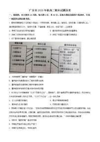 2021广安高二上学期期末考试历史试题含解析