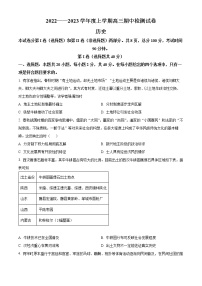 2023张掖高台县一中高三上学期期中考试历史试题含解析