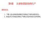 2021-2022学年高中历史统编版（2019）选择性必修二第1课 从食物采集到食物生产 课件