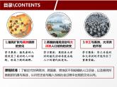 第7课 近代殖民活动和人口的跨地域转移 课件