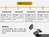 第14课 文化传承的多种载体及其发展 课件